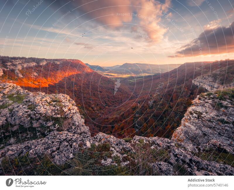 The setting sun casts a fiery glow on the Urbasa Canyon, with dramatic cliffs framing the vivid, color-rich valley as birds glide overhead sunset canyon sky