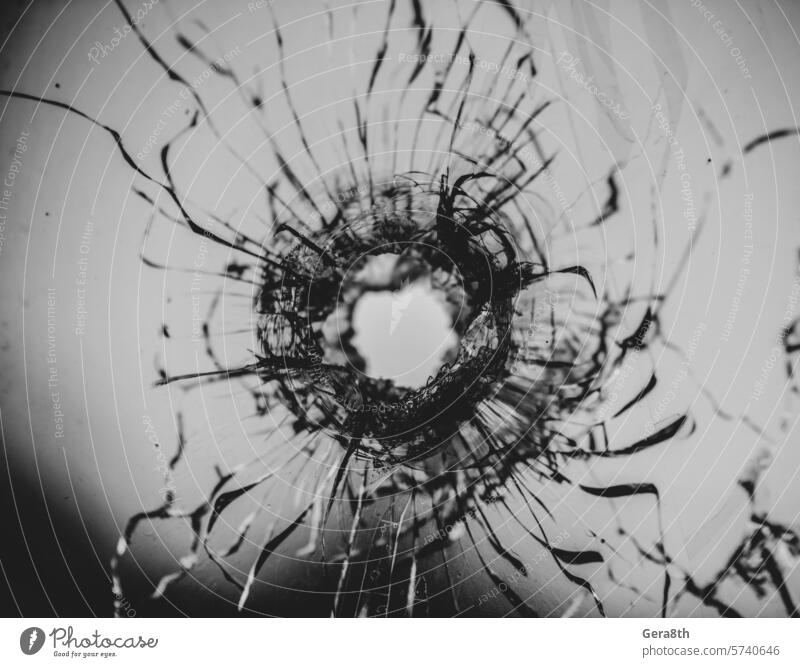 bullet hole in cracked window glass abstract accident background broken broken glass broken window bullet hit closeup color crash crime damage danger deadly