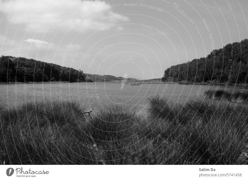 Lakeside Black & white photo black and white Black and white photography lakes Landscape Landscape format landscapes landscape orientation landscape - scenery