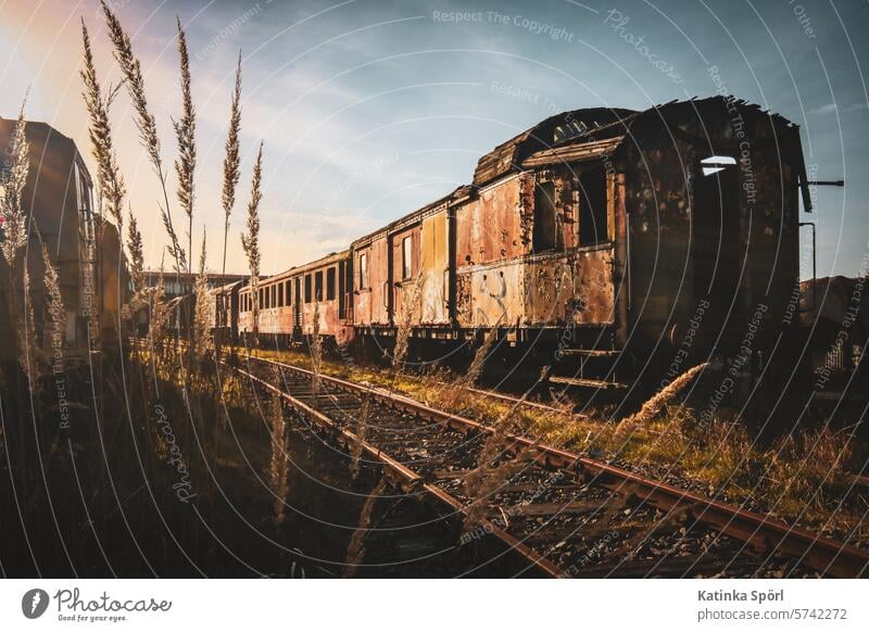 Rusted wagons on the track Train railcar Wagons lostplace corroded Railroad tracks siding Track Train station Railroad car railway carriages Train travel