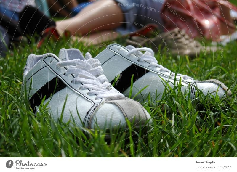 Shoes in the grass Footwear Sneakers Exterior shot Vintage car Chucks Summer Lawn Cool (slang) Joy