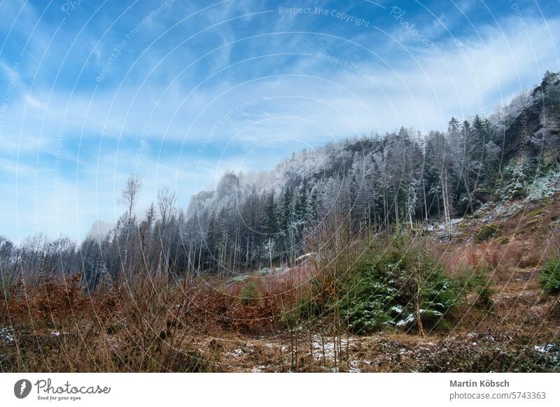 View of the great Zschirnstein with snow-covered trees and sunrise in fog rock winter forest hiking root saxony nature rocky sandstone walk view path