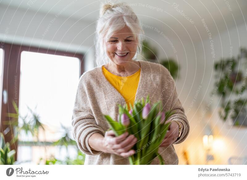 Happy senior woman with bouquet of tulips in vase at home people casual day portrait indoors real people white people adult mature retired old one person