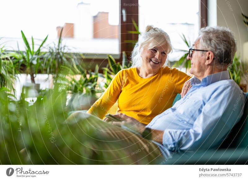 Portrait of a happy senior couple sitting on sofa at home people caucasian grey hair casual day portrait indoors real people white people adult mature retired