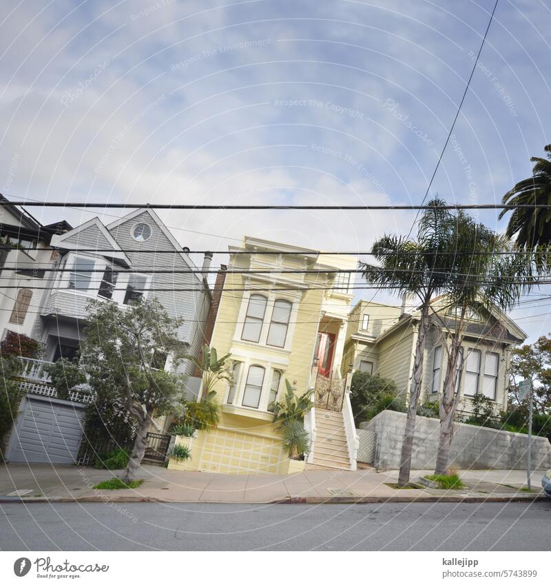 downhill San Francisco USA Street California San Francisco bay Vacation & Travel Architecture Exterior shot Tourist Attraction Town Landmark Sightseeing Curve