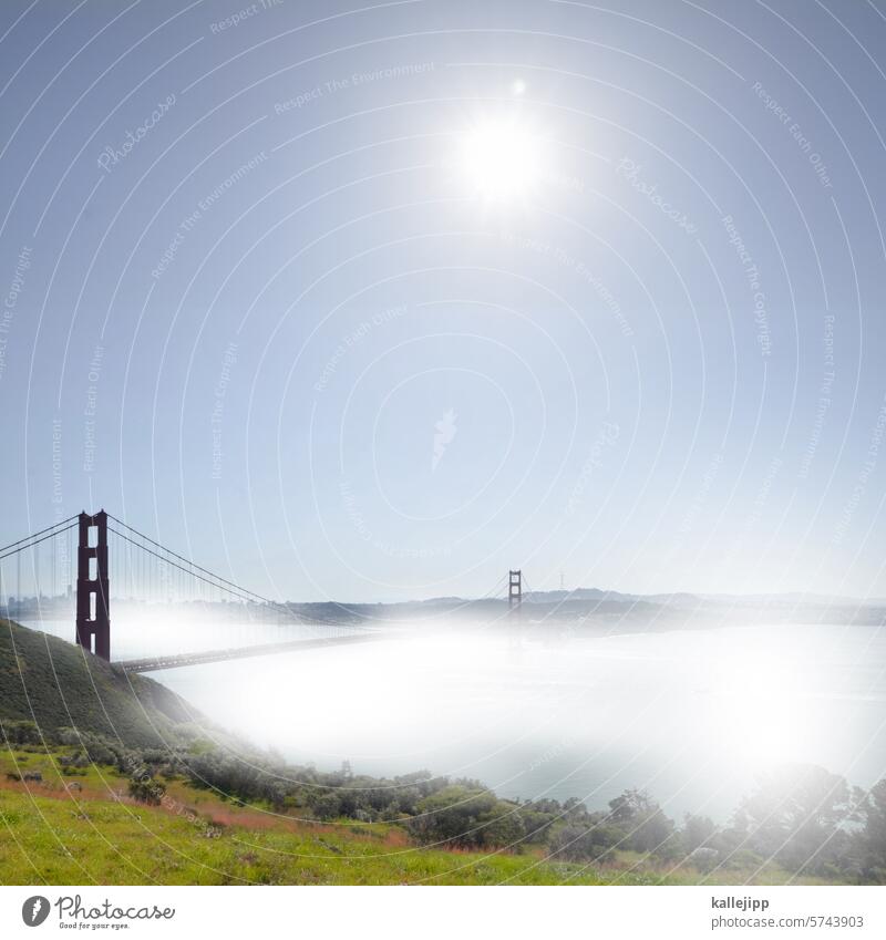 Generated Image San Francisco USA Street California San Francisco bay Vacation & Travel Architecture Exterior shot Tourist Attraction Town Landmark Sightseeing