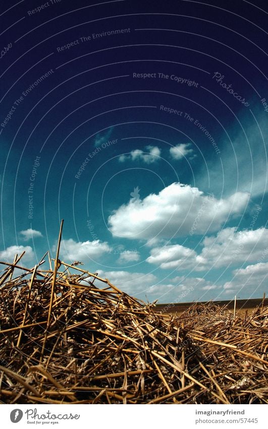 straw and clouds Clouds Field Countries Sky country Grain Harvest