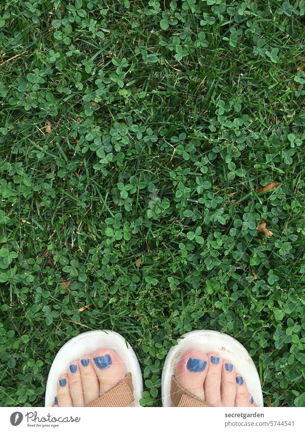 Summer season opens Sandals feet Nail polish Clover Lawn Fresh Green White Spring Bird's-eye view Woman Exterior shot Meadow Toes Barefoot Legs Grass Footwear