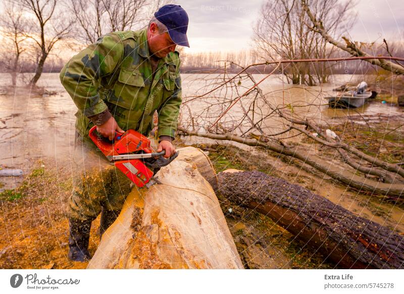 Woodcutter, logger, is cutting firewood, logs of wood, with motor chainsaw near the river Bank Bunch Chain Chainsaw Chop Coast Cross Section Cut Deforestation