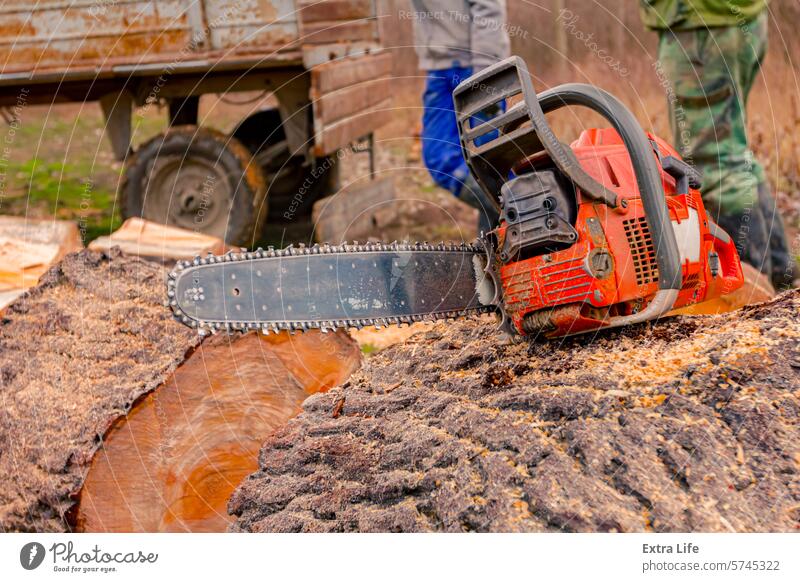 Motor chainsaw placed on fresh sawn trunk, log of wood on ground Blade Chain Saw Chainsaw Chop Cut Deforestation Ecology Engine Felled Feller Firewood Forest