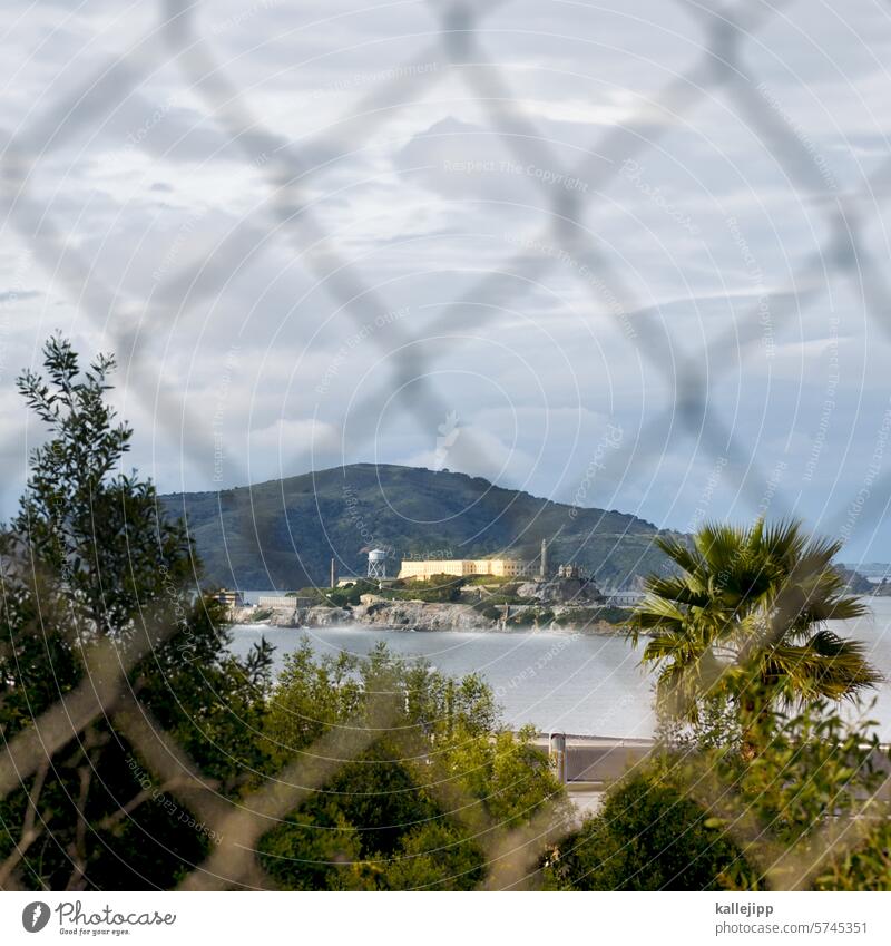 escape to alcatraz Metal grating metallic Wire mesh Archaic Escape Abstract Wire netting fence violating Barbed wire lattice fence backgrounds rusty Connection