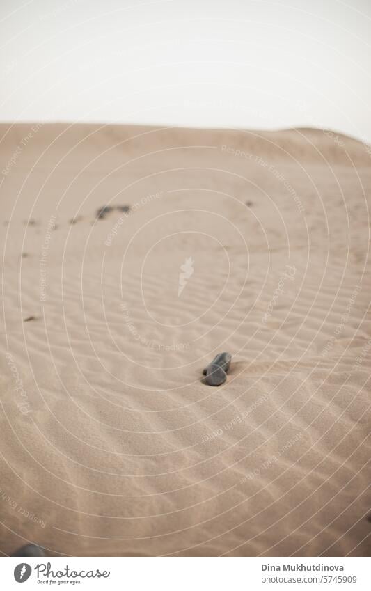 desert beige sand dunes landscape bokeh background and stone on it closeup Desert Sand Nature Landscape Vacation & Travel Colour photo duene travel Beach