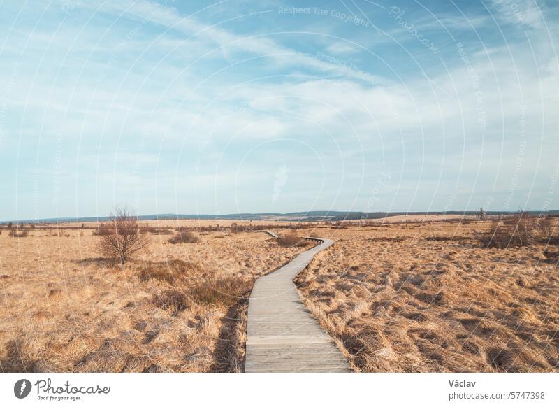 Wild wasteland in the west of Belgium called Les Wez in the High Fens, Wallonia. A vast reservoir of water in vast wetlands. Climate change and storage