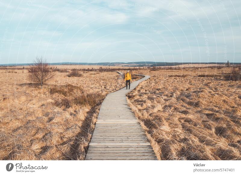 Wild wasteland in the west of Belgium called Les Wez in the High Fens, Wallonia. A vast reservoir of water in vast wetlands. Climate change and storage