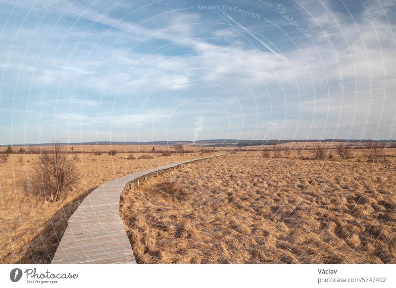 Wild wasteland in the west of Belgium called Les Wez in the High Fens, Wallonia. A vast reservoir of water in vast wetlands. Climate change and storage