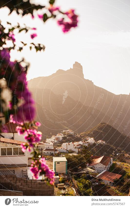 silhouette of mountain with pink flowers on foreground, Tejeda place on Gran Canaria island. Travel destination. travel tejeda canary canary island