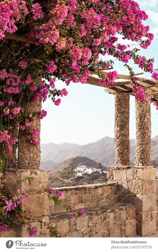 beautiful arch viewpoint with pink flowers and panoramic scenic view on mountains and village on the hills landscape, vertical tourism poster at Gran Canaria, Canary Islands, Spain