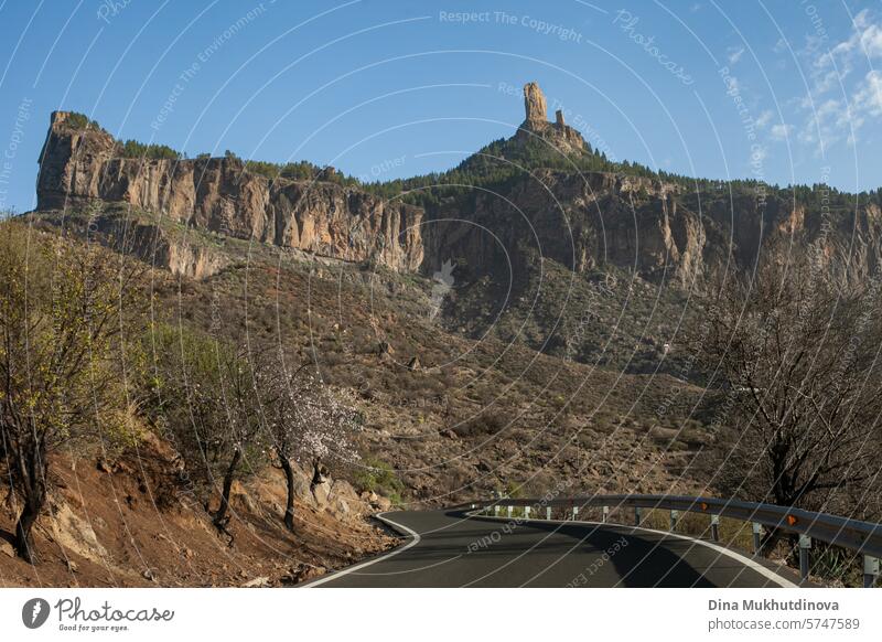 winding road in the mountains with a view over peaks of rocks and mountain in sunny weather in Gran Canaria island gran canaria adventure road trip travel