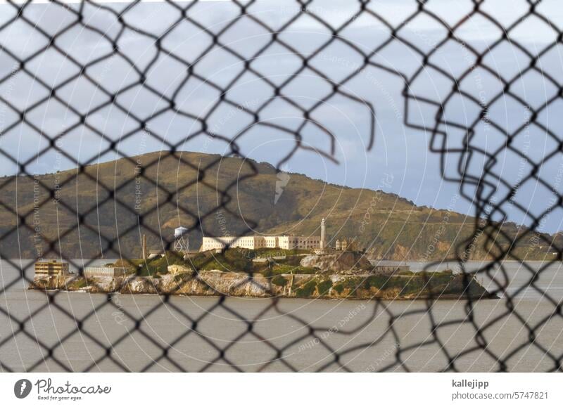 escape to alcatraz Metal grating metallic Wire mesh Archaic Escape Abstract Wire netting fence violating Barbed wire lattice fence backgrounds rusty Connection