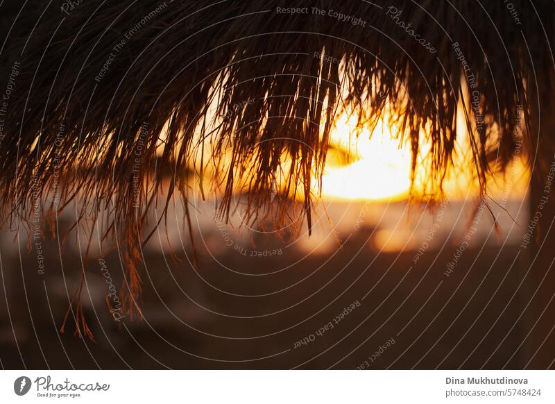 sunset on the beach through jute umbrella summer background sunrise Sunrise Beach Sunset Summer Ocean Vacation & Travel Summer vacation Sunlight Waves