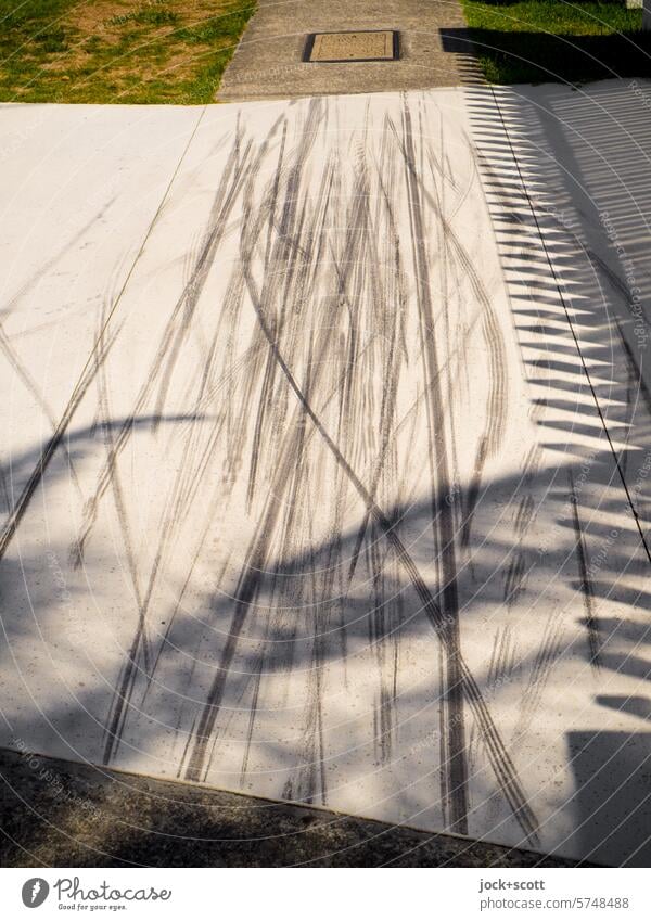 Traces of bicycle tires on a white sidewalk tyre track Gateway stockade Shadow play Sidewalk White Silhouette Sunlight Structures and shapes Gold Coast