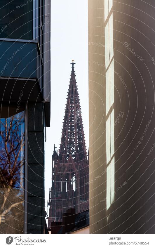 cathedral Religion and faith Landmark Tourist Attraction Manmade structures Freiburg im Breisgau Architecture Sunlight Church Tourism City trip Historic