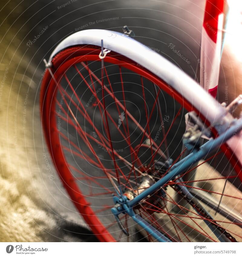 Red speedster - Red rear wheel of a bicycle Silver Bicycle chain Vehicle Colour photo Deserted Exterior shot Metal Detail Close-up Day Old Means of transport