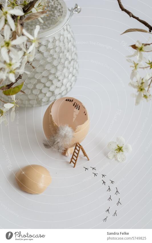 Egg shell from which a chick has broken out - a ladder leans against the empty shell Easter Eggshell Nutrition Easter egg Hen's egg Colour photo