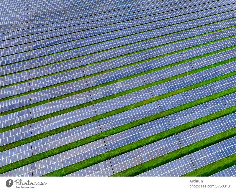 Solar farm and sun light. Solar power for green energy. Sustainable renewable energy. Photovoltaic power station or solar park. Solar panel installation and maintenance concept. Energy sustainability.