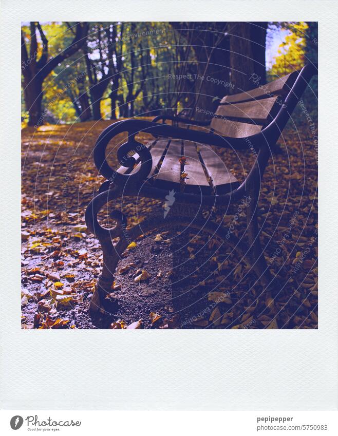 ParkBank bench Bench Seating Break Calm Relaxation Loneliness Wooden bench Park bench Sit Exterior shot Empty Nature Deserted Colour photo Environment Light