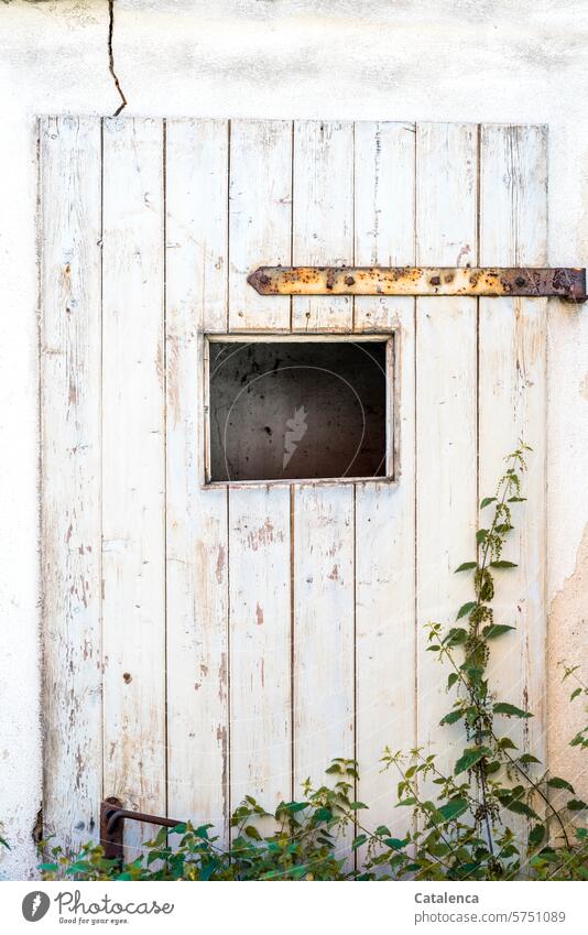 Crack in the façade, nettles in front of the door, vacancy Building Architecture Facade Manmade structures Wall (building) cracks Wooden door Broken