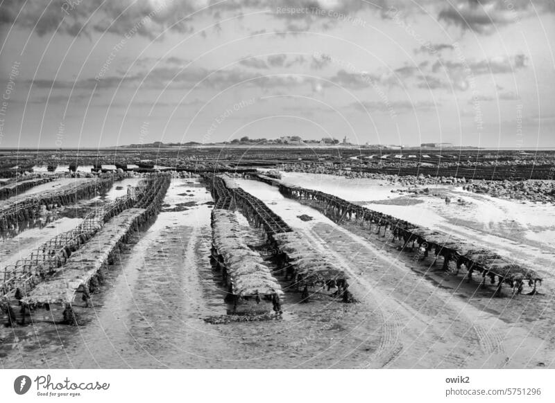 Long benches Saint-Vaast-la-Hougue Normandie France Exterior shot Tatihou Island upstream Maritime Low tide Tourist Attraction Atlantic coast English Channel