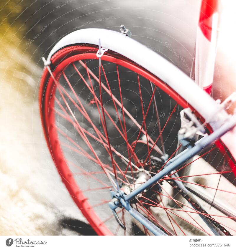 The same bike - just different Sustainability In transit Eco-friendly Road traffic Driving Movement Town Leisure and hobbies Street Parking Transport Wheel