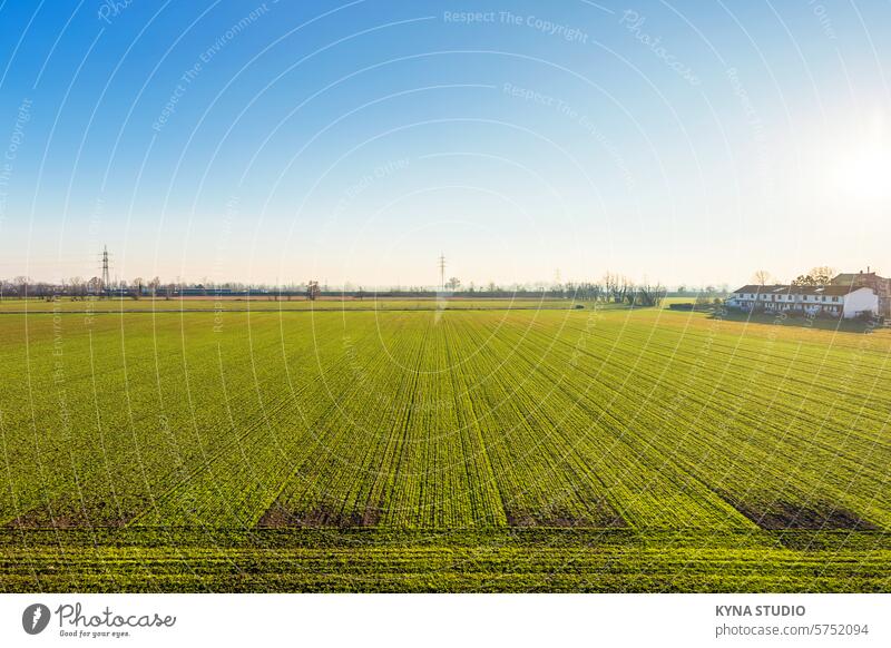 Field Outdoor agriculture background beautiful beauty blue bright cloud color country countryside day environment farm farming field flower fresh garden grass