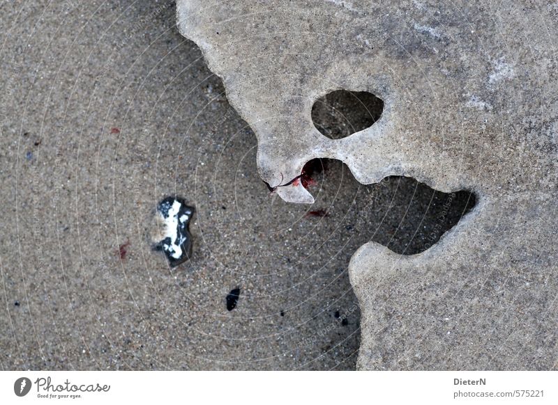 ice Sand Winter Ice Frost Coast Beach Stone Exceptional Cold Bizarre Colour photo Subdued colour Exterior shot Detail Deserted Copy Space left Copy Space top