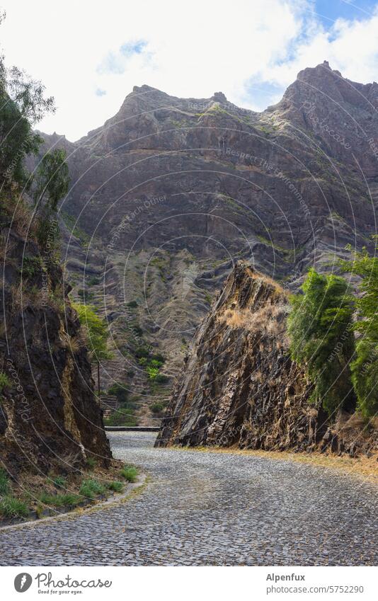 Roads of Cabo Verde IV Street Cobbled pathway paved road Lanes & trails Paving stone Structures and shapes Pavement Cobblestones Exterior shot Deserted Pattern