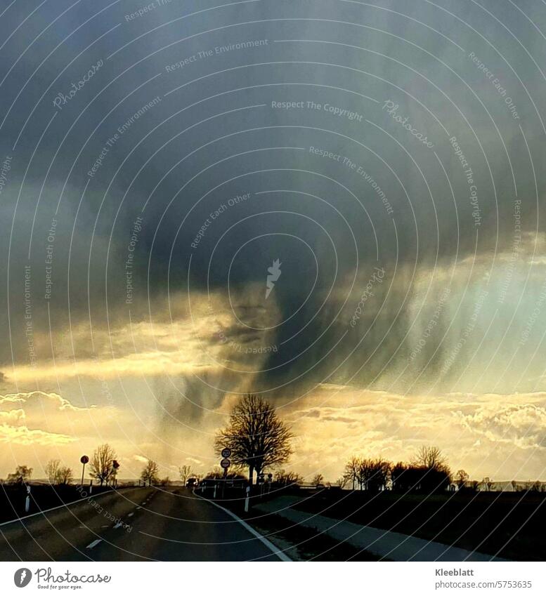 Thunderstorm spectacle at sunset Sunset Thunder and lightning Storm Rain Tree especially eerily beautiful Street heavy rain natural spectacle Sky Wind Clouds