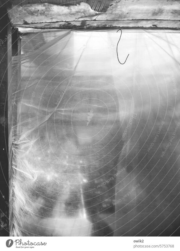 Until further notice Cellophan tarpaulin Translucent Light Black & white photo Checkmark Above Suspended Detail Market garden Greenhouse Deserted Sunlight