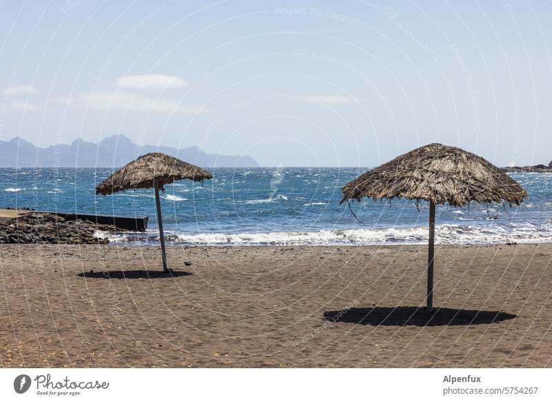 Atlantic sandy beach with parasols in the sun Beach Summer Vacation & Travel Sunshade Summer vacation Ocean Sand coast Sunbathing Relaxation Tourism