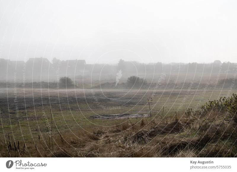 foggy Fog Exterior shot Misty atmosphere Landscape Nature Moody List Sylt Shroud of fog Landscapes Deserted Meadow spring Spring atmospheric Colour photo Light