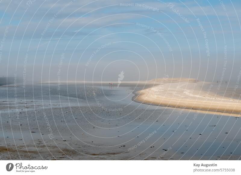 Sea fog in the mudflats Sylt Mud flats North Sea coast Sylt Island Sylt island Wadden Sea National Park Nature reserve Sylt landscape Landscape bird sanctuary