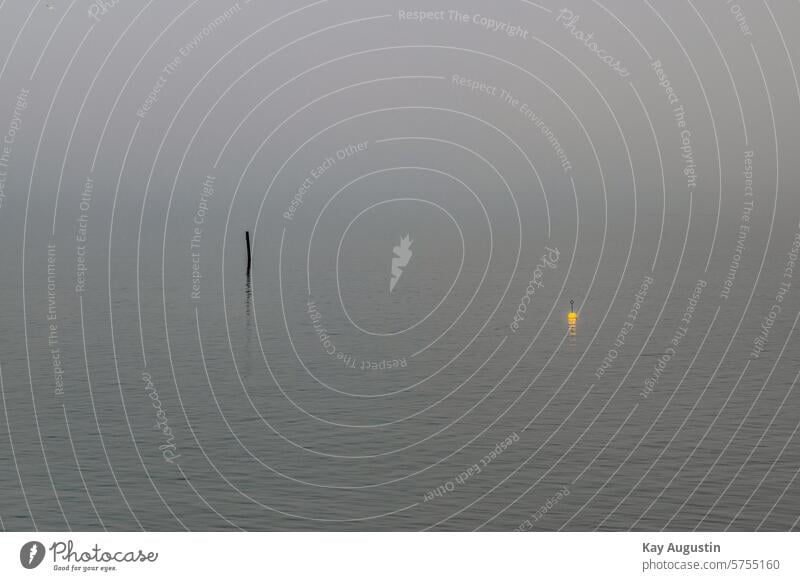 markings Marking at sea Markings at sea Buoy colors Ocean Mud flats National Park Wadden Sea National Park Tide North Sea North Sea coast Landscape Nature