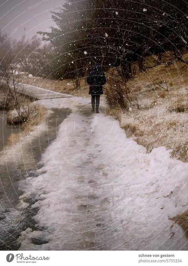 snow walk Snow To go for a walk off Ice Frost snowflakes Cold Winter White Weather Nature Frozen Landscape Exterior shot Winter's day Freeze Iceland chill