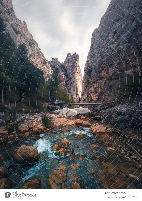 Majestic mountain gorge with footbridge and stream rocky cliffs clear water nature landscape outdoor scenic view trekking hiking adventure travel wilderness