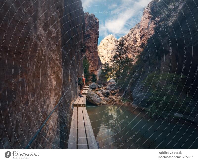 Adventurous Hiker on a Mountain Trail Boardwalk hiker mountain trail boardwalk river cliff scenic adventure explore wooden walkway towering rock formation