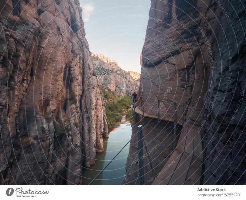 Hiker on a Scenic Mountain Boardwalk Trail hiker mountain boardwalk trail cliff water adventure travel scenic landscape outdoor nature path wooden structure