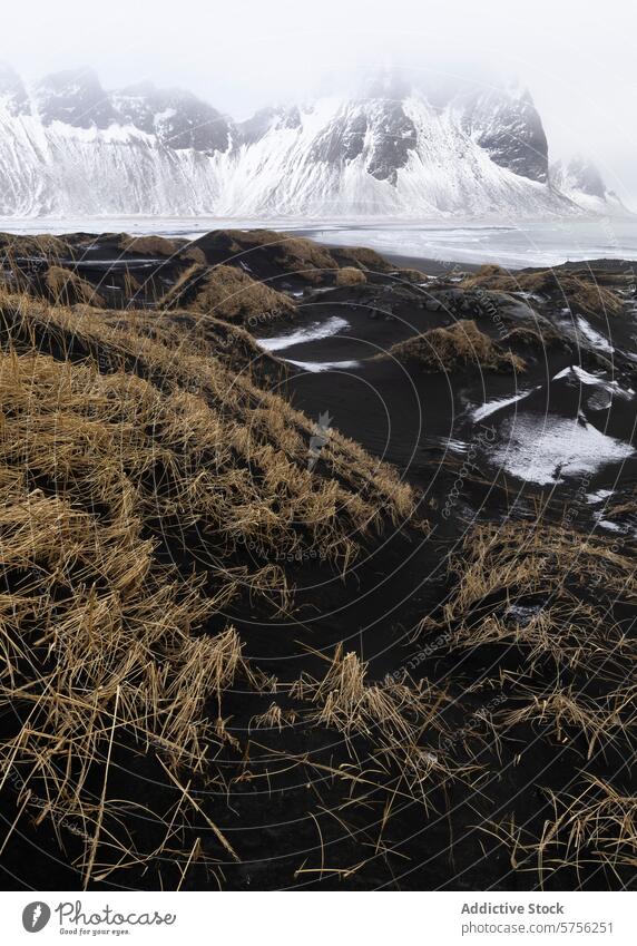 Frosted Mountain Vista with Black Sand Dunes, Iceland iceland mountain vista sand dune snow black volcanic backdrop majestic snow-capped range landscape nature