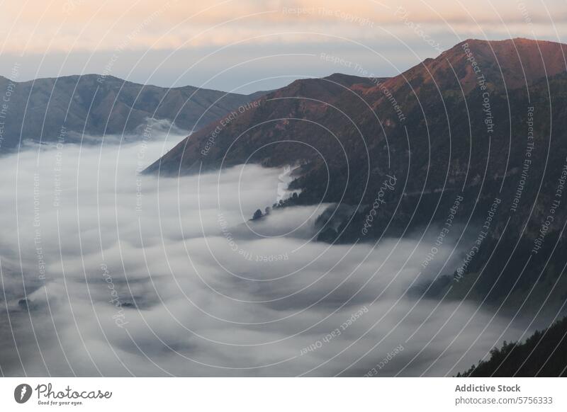 Misty mountain dawn in Indonesia indonesia mist landscape serene morning light hill glow nature travel outdoor scenery view tranquility valley cloud peaceful