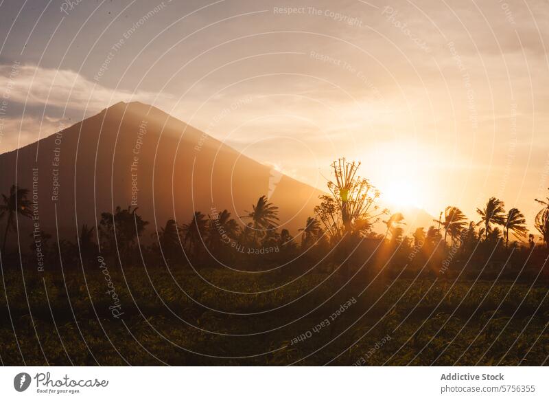 Sunset over the silhouette of Mount Agung, Bali indonesia bali sunset mount agung mountain palm tree sky golden hour serene nature travel landscape tropical