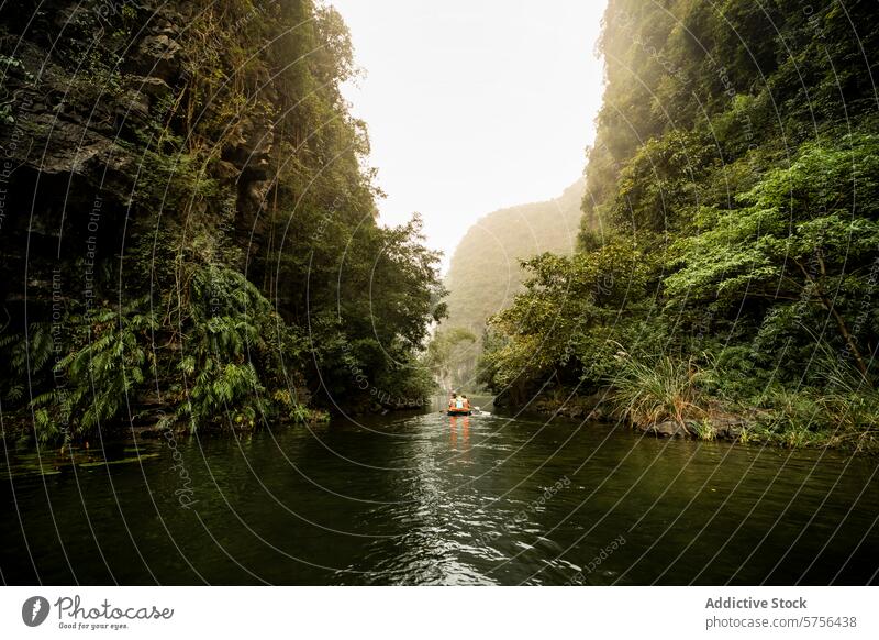 Tranquil river cruise in Vietnam's verdant countryside vietnam tranquil serene journey lush landscape rural water travel adventure nature tourism boat greenery